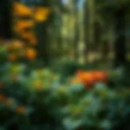 Vibrant hues from natural plant dyes