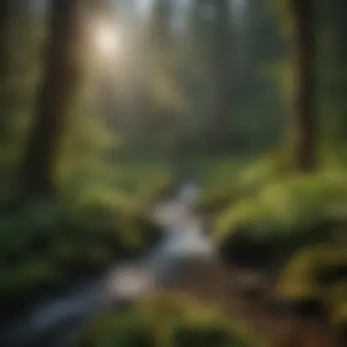 Scenic view of Umpqua Hot Springs surrounded by lush forest