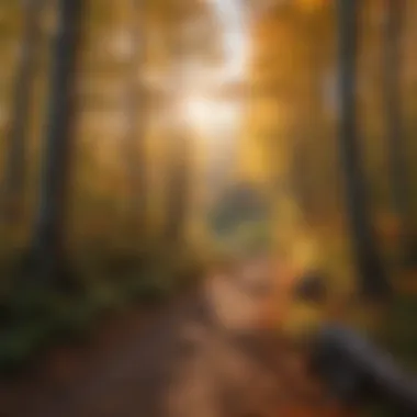 Scenic Hiking Trail in Autumn An adventurous individual hiking along a scenic trail amidst vibrant fall colors