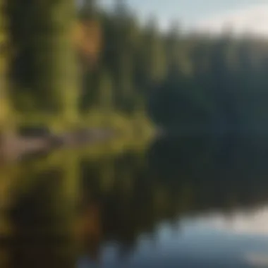 Pristine Lake View in Upper Peninsula A stunning vista overlooking a pristine lake surrounded by lush woodlands