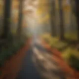 A tranquil walking trail surrounded by vibrant autumn foliage in West Virginia