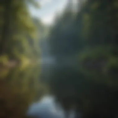 Serene Forest Lake A serene lake nestled within a forest, reflecting the surrounding trees