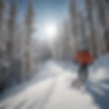 An adventurous group skiing down a snowy slope in Santa Fe