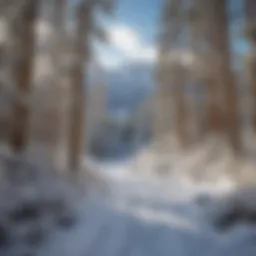 A serene winter landscape showcasing snow-covered mountains in Santa Fe