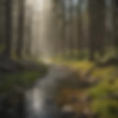 Educational Insights from Yellowstone Educational resources available on the website