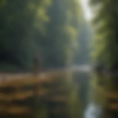 Angler demonstrating fly fishing technique in a tranquil setting