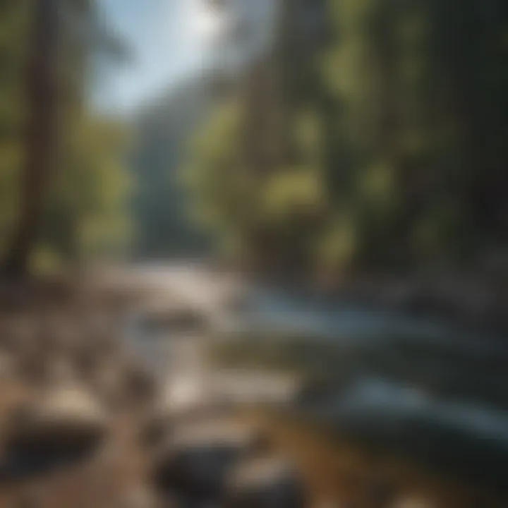 Scenic landscape of a California river popular for gold panning