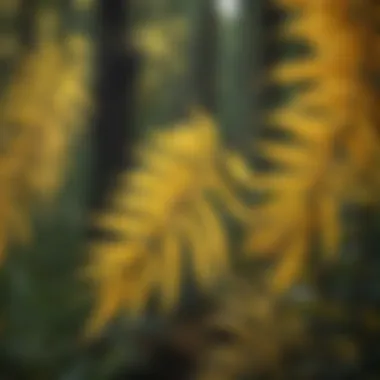 Close-up of goldenrod leaves showcasing their unique texture