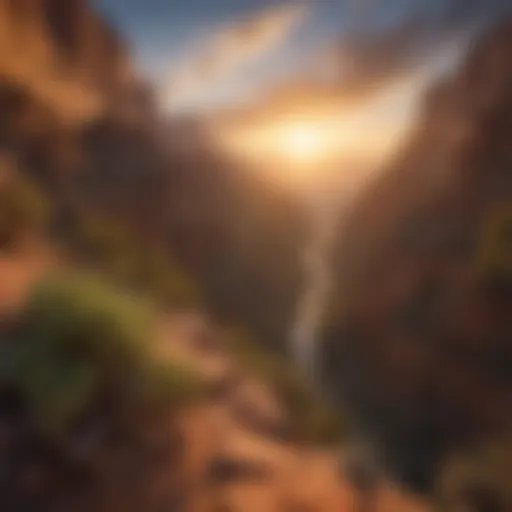 A panoramic view of the Grand Canyon at sunrise