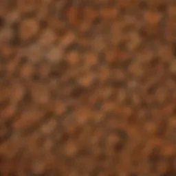 A detailed illustration of various hardwood species showcasing their unique grain patterns.