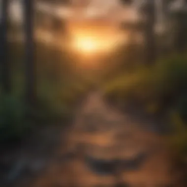 Experience Breathtaking Sunsets on the Trails Dramatic sunset viewed from a hiking trail