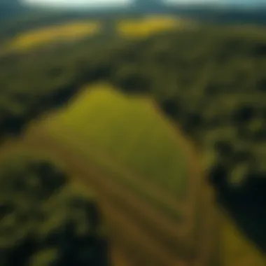 Effective Application Techniques in Agriculture An aerial view of a farm demonstrating effective application techniques of liquid fertilizers.