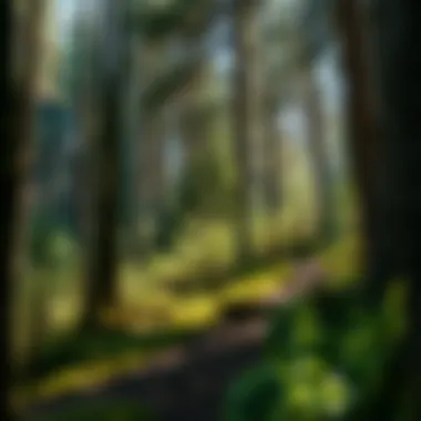 Notable Medicines from Nature: Exploring the Therapeutic Potential of Forest Resources