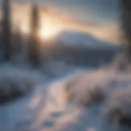 Snow-covered landscape of Mt. St. Helens during winter