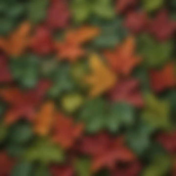 Close-up of vibrant leaves of a commonly used native medicinal species.