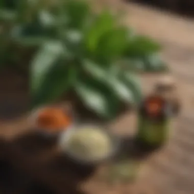 Natural remedies laid out on a wooden table, including aloe vera and oatmeal.