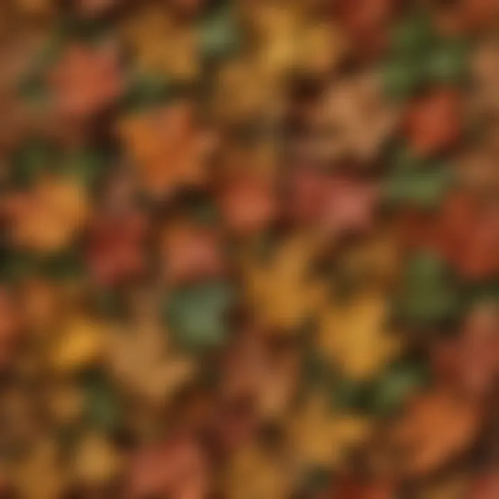 Close-up of oak leaves showcasing their intricate textures and vibrant colors.