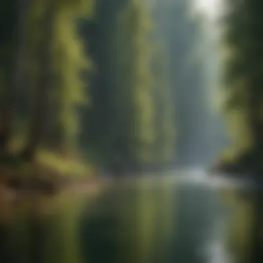 Angler casting a line in the scenic waters