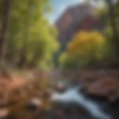 Seasonal Changes in the Park Seasonal beauty at Slide Rock State Park