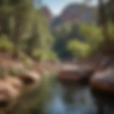 Visitors enjoying natural pools at Slide Rock