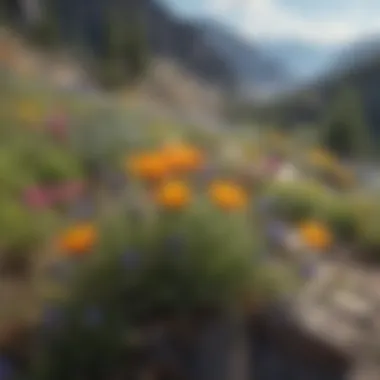 Wildflowers in Nevada's Mountains Vibrant wildflowers blooming in a Nevada mountain range.