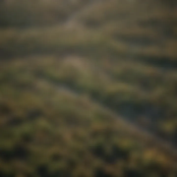 An aerial view of New Mexico's diverse habitats