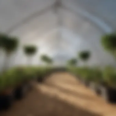 Illustration of environmental conditions inside a nursery tent, demonstrating humidity and temperature control.