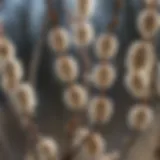 A close-up of pussywillow catkins in spring