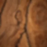 A close-up of reclaimed fir wood showcasing its unique grain patterns