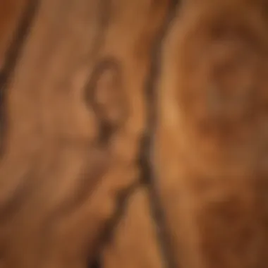 A close-up of reclaimed fir wood showcasing its unique grain patterns