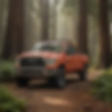 A demonstration of sustainable forestry practices in a redwood ecosystem.