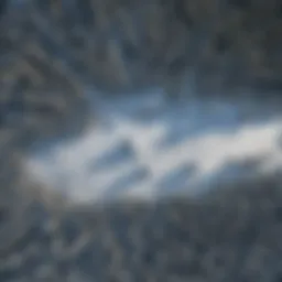 A satellite view showcasing extensive snow cover in a forested area.