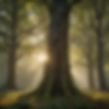 The Role of Trees in Supporting Biodiversity A vibrant ecosystem thriving under the canopy of healthy trees