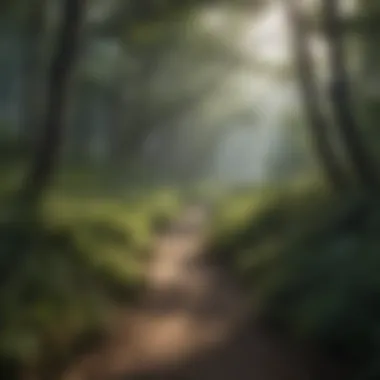 Nature trails winding through the lush foliage of Silver State Park