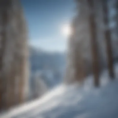 A scenic view of Snowbowl ski resort with lifts in action