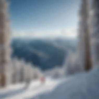 A group of skiers enjoying a pristine day at Snowbowl