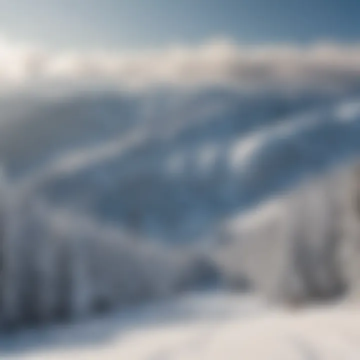 Skiers enjoying the slopes at Snowbowl with lifts in the background