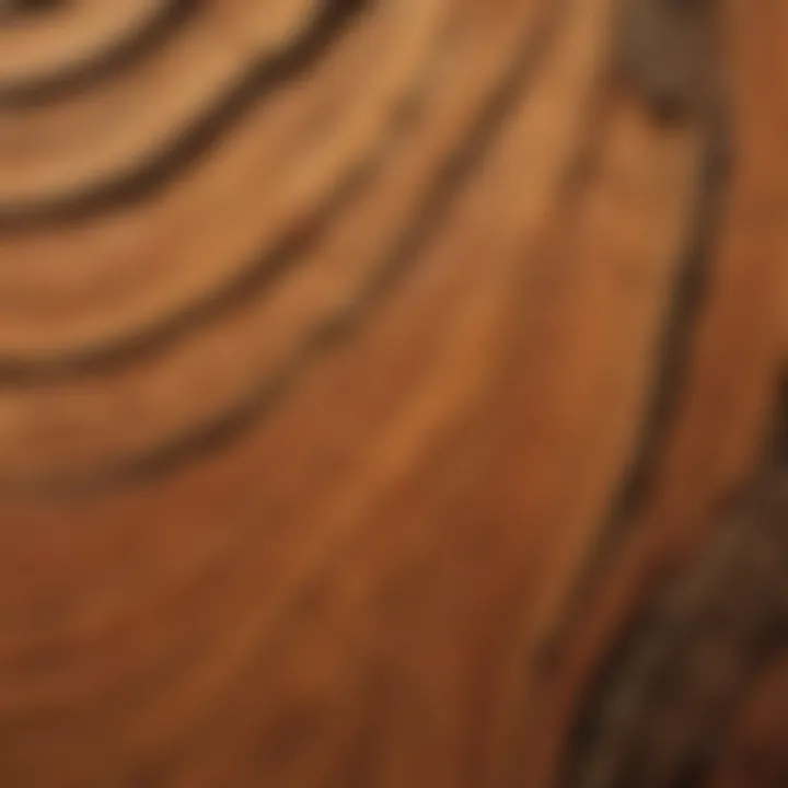 Detailed view of Southern Pine grain showcasing its texture and color