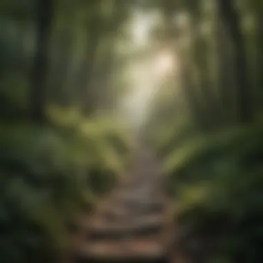 Winding Path of the Appalachian Trail A serene view of the Appalachian Trail winding through a lush forest