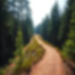 Majestic view of the Superior Hiking Trail winding through dense forests
