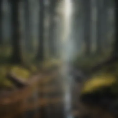 Impact of Climate Change on Forest Ecosystems Illustration of climate change impact on forest ecosystems