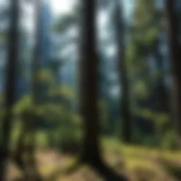 The Application and Benefits of Borate Wood Treatment Spray Introduction