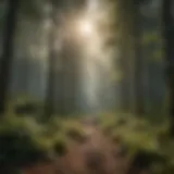 Diverse forest ecosystem teeming with life