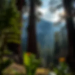 The Establishment of Sequoia National Park: A Historical Perspective Introduction