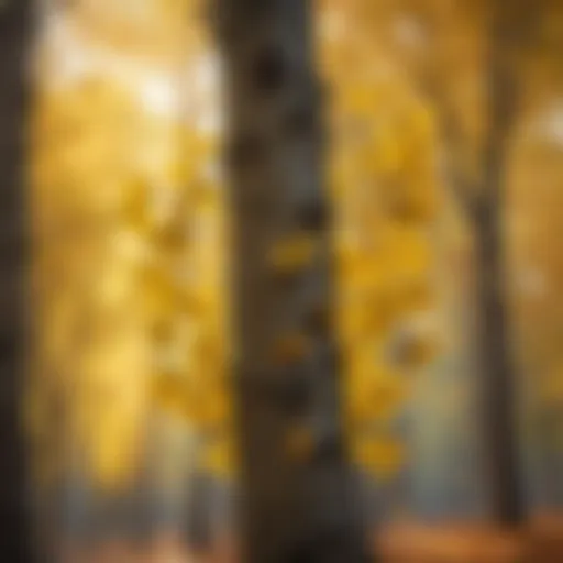 Ginkgo tree leaves showcasing their fan shape and vibrant yellow color