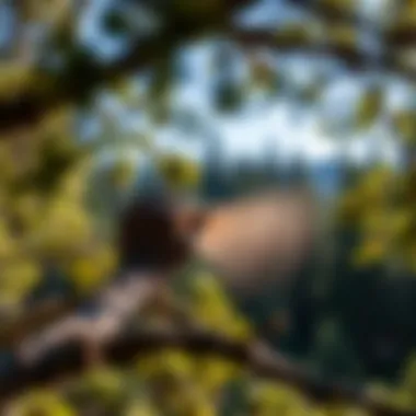 The Legal and Practical Aspects of Cutting Trees on Your Property Introduction The Legal and Practical Aspects of Cutting Trees on Your Property Introduction