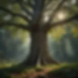 An ancient tree standing tall in a lush forest, representing ecological significance