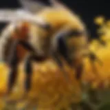 A close-up of a bee covered in pollen