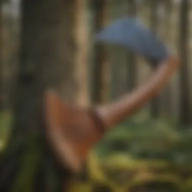 Historical Significance of the Axe An intricately designed axe showcasing its historical significance.