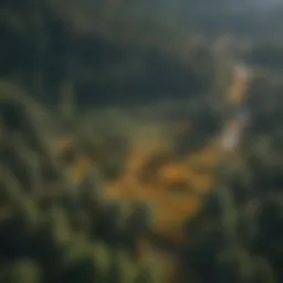 Aerial view of a forest with Lidar data visualization overlay